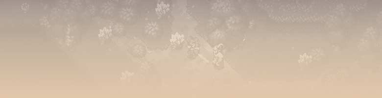 Promotional Banner